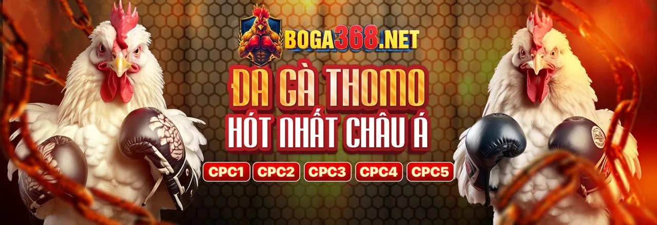 Hướng dẫn chơi bắn cá cho người mới