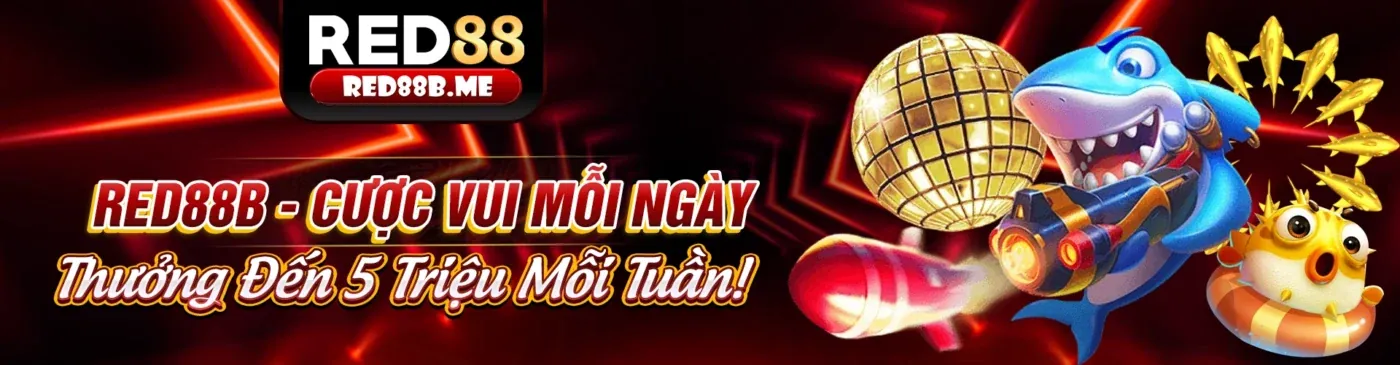 Tin tức 8x Bet mới nhất