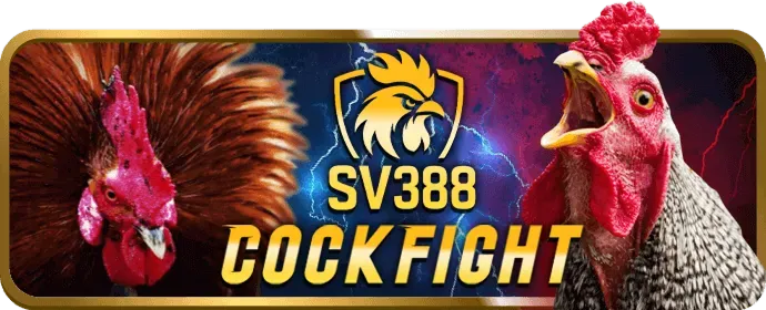 Đa dạng trò chơi 8x bet